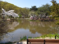 자연 사진에 있는 문철님의 핀 - 2023 | 자연 사진, 자연, 사진