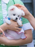 Pin on 오마이걸