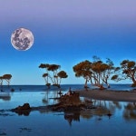 The moon in the sky | 달
