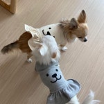 쮸리원단으로 신축성좋으며 댕댕 스마일은 나염이아닌 레이져컷팅후 미싱으로 튼튼하게 미싱으로 드르륵 ~~ 🙊 . 원피... 