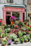 Flower Shops&Cafes에 있는 Meiflo님의 핀 | 정원 가꾸기, 꽃집, 꽃