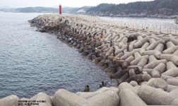 돌아온 임연수어, 양양 수산항이 술렁인다