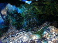 도원이네랑 #광명동굴 시원하고 볼거많고 사람많고. . #공룡체험전 #다음엔어디 ❓ | 어두운