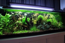 Aquarium | 수족관