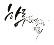 [대전 캘리그라피]하루의 감동적인 순간을 발견할 것(집나간 마음을 찾습니다/정민선 지음/시공사) | 손글씨, 멋진 문구, 칼리그래피 아트
