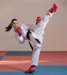 Perfect kick | 무술