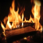 [리뷰] 건조 참나무 캠핑 장작 10kg 15kg 25kg | Ash wood, Tiny wood stove, Small house