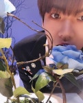 [IG]UP10TION Hwanhee - #Blue_Rose 욤뇸뇸 #UP10TION #업텐션 #환희 #HWANHEE #Laberinto