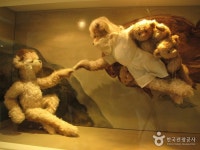 Teddy Bear Museum (제주 테디베어뮤지엄)
