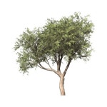 07 Photoshop source에 있는 핀