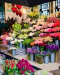 Instagram의 𝒮𝑒𝓇𝑒𝓃𝒶 𝒫𝒽𝑜𝑒𝓃𝒾𝓍 🏹님: “Beautiful flowers and set up by #petalsatbibendum...