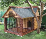 Best Unique Dog House Design | 목공예