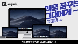 Class101 - 클래스101 | 붓펜으로 그려낸 보통 날, 보통의 글씨 | 공예, 날