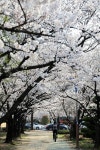 Changwon, Korea 창원 중앙공원