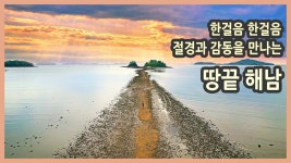 여행에 있는 핀