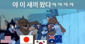 월드컵
