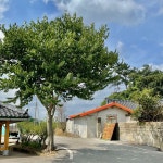 orange and green - 2023 | 풍경 사진, 풍경 그림, 사진