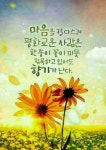 향기로운 사람~ | 현명 인용구, 인생 인용구, 명언