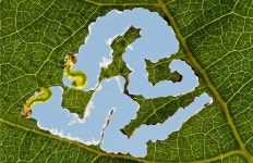 work with flavor photo | 환경