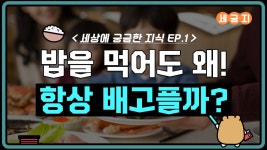 #궁금한지식 / #일상콘텐츠 / #콘텐츠동영상 / #유튜브썸네일 / #유튜브템플릿 / #유튜브디자인 / #망고보드 / #망고보드템플릿 / #망고보드디자인... 