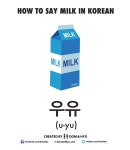 Milk = 우유 [u-yu] | Estudos