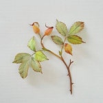 Pin by 상연 on 자수 | Paper flower art, Paper flowers, Handmade flowers paper
