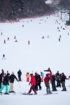 여행매거진 에스제이진,ski, 무주리조트 | 여행지, 축제