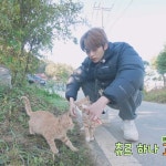 (๑•̀ㅁ•́๑) 🗯 | Stray kids seungmin, Crazy kids, Kids in love