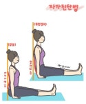 허리통증(골반후방경사) 고치는 그림일기 | 전신운동, 운동 아이디어, 운동법