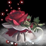 두 귀가 있어 행복하고  멋진 세상을 바라볼 수 있는  두 눈이 있기에 행복하며  가고 싶은 곳 어디든 갈 수 있…(이미지 포함) | 아름다운, 행복한