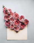 Roses ✉️ | 꽃꽂이, 꽃, 인테리어