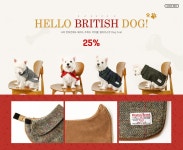 텐바이텐 10X10 : Hello British Dog!|25% | 트위드