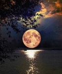 Full moon over Singapore | 풍경 사진, 석양, 풍경 예술
