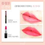 [퍼스널컬러] 봄웜톤 인생템 찾아 드림~♪ | 화장품, 메이크업, 패션