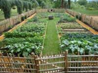 Épinglé par 박경화 sur 텃밭 | Design de jardin potager, Design jardin, Jardins