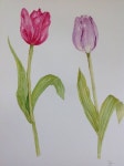 Watercolour flowers,Wall Art,Kitchen wall art, Kitchen decor, Botanical art, Wall decor, Tulip painting | 꽃그림, 그림, 수채화