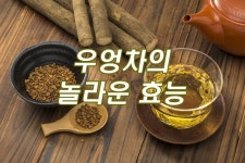 우엉차 효능을 알려주는 옛날 기록들 | 알