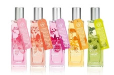 the bodyshop에 대한 이미지 검색결과 | The body shop, Perfume, Scents