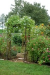 vegetablegarden #gardenideas #gardendesign #vegetablegardenideas | shadow.com | 정원 가꾸기, 정원 아이디어, 퍼머컬쳐
