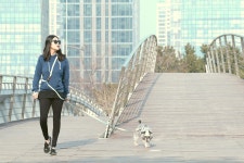 NTPET 니즈더펫 | 갤러리