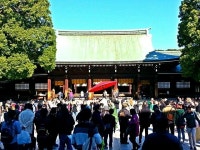 Tokyo 메이지신궁