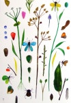 Water color | 그리기