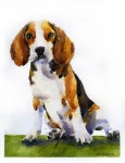 Custom pet painting Watercolor pet portrait Custom pet | Etsy(이미지 포함)