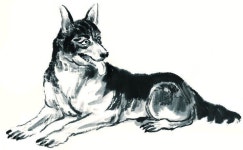 수묵담채화(가축) | 한국화