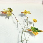 Flower constructions | 압화, 꽃장식