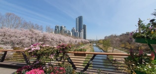 Chris Joo님이 #양재천 #강남구  #Yangjaecheon  #GangnamGu #Seoul #Korea에 올린 아이디어 | 타워, 천