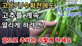 텃밭에 있는 김연태님의 핀 - 2022 | 텃밭