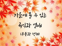 가을 이야기나누기 가을열매와 곡식 : 네이버 블로그 | 유치원 가을 활동, 가을 예술, 가을 미술
