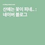 산에는 꽃이 피네.. : 네이버 블로그 | Company logo, Blog, Logos