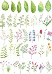 A vector set of watercolor plants and branches | 그린 꽃, 꽃그림, 꽃 그리는 법